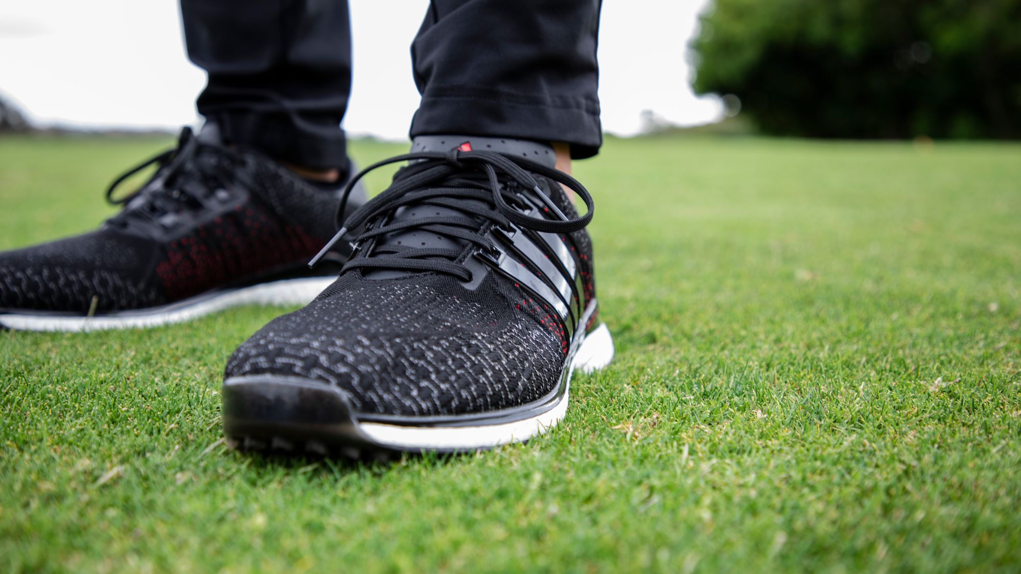 Adidas tour 360 shop xt-sl golf shoes