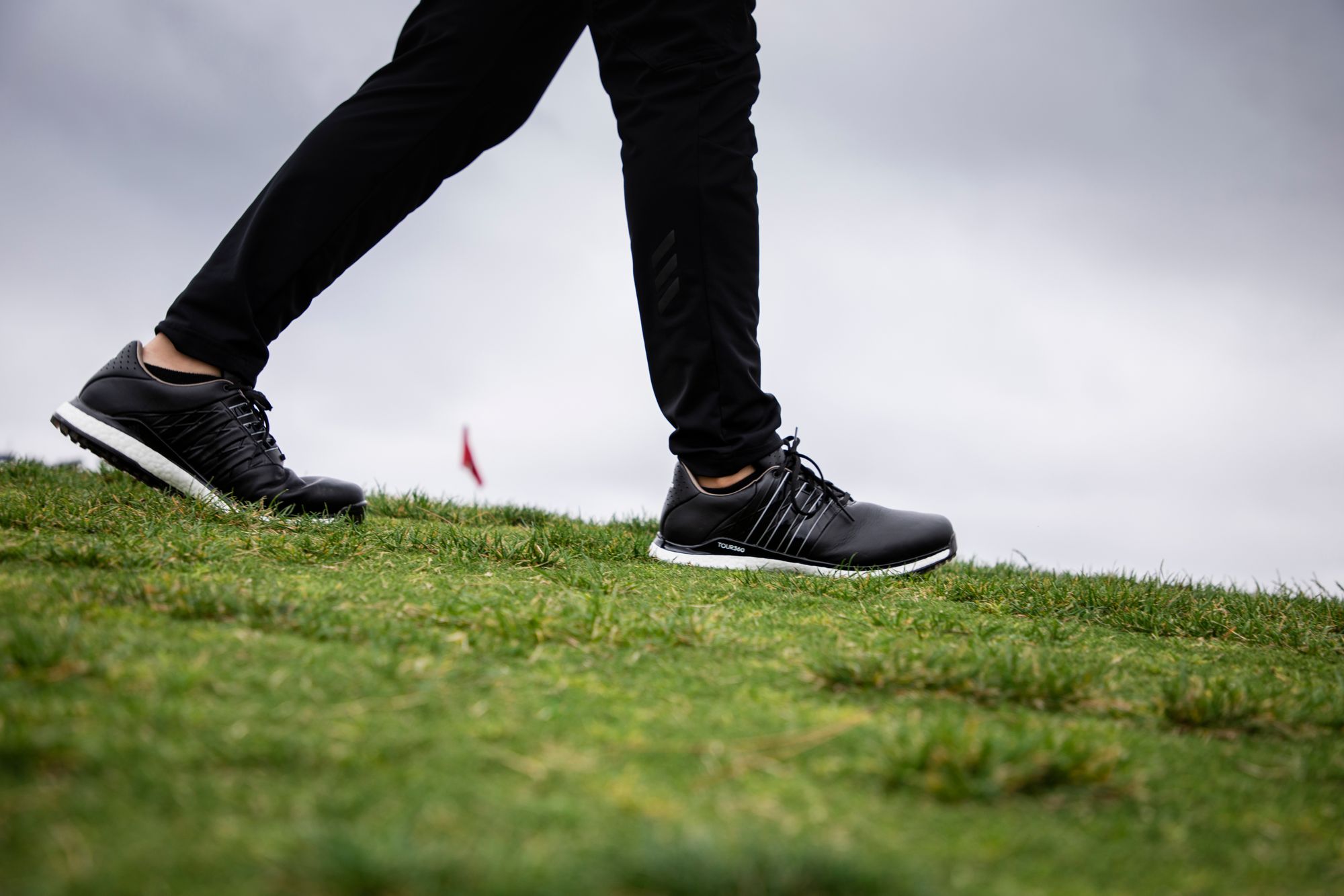 adidas golf tour 360 xt shoe