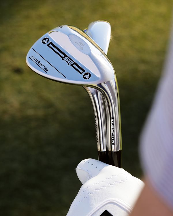 NEW: King Cobra Snakebite Wedges