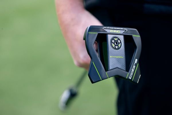 NEW: Cobra King Putters